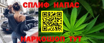 дмт Будённовск