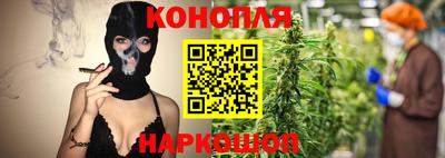 дмт Будённовск