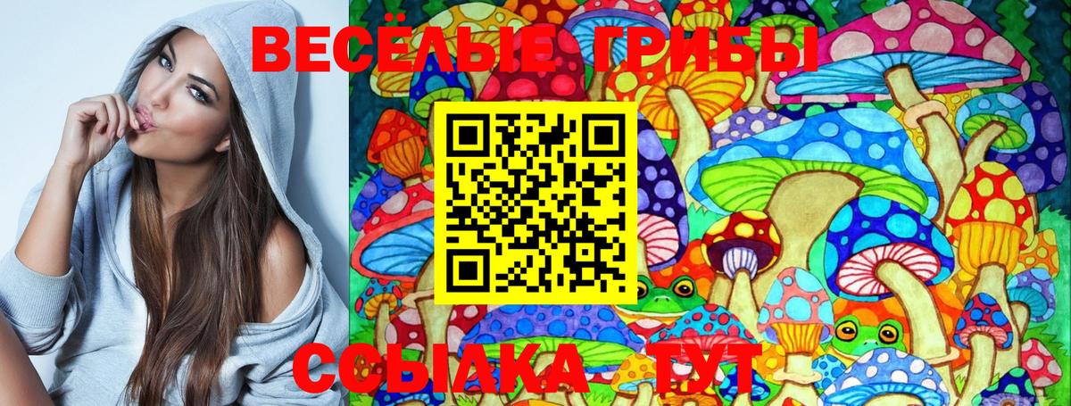 Галлюциногенные грибы GOLDEN TEACHER Мичуринск