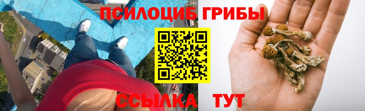 Мичуринск  Псилоцибиновые грибы MAGIC MUSHROOMS  купить   Вход с VPN 